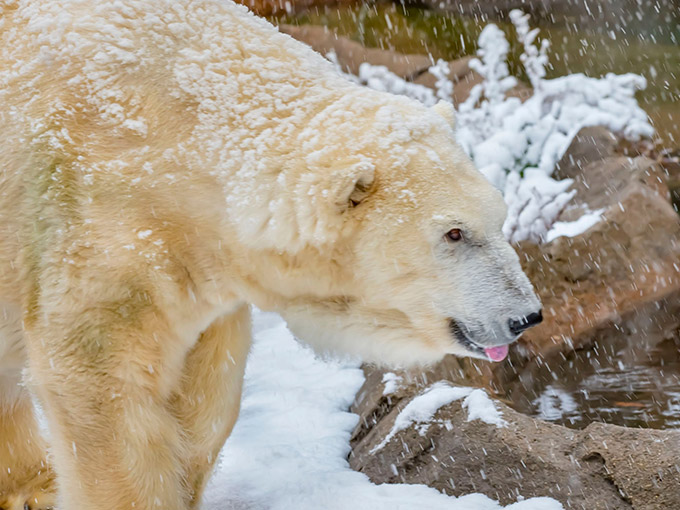 Milwaukee County Zoo