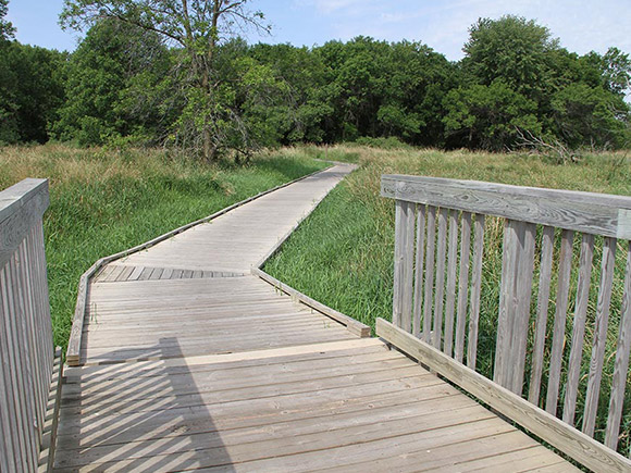 Brookfield Greenway Trail System Boardwalk